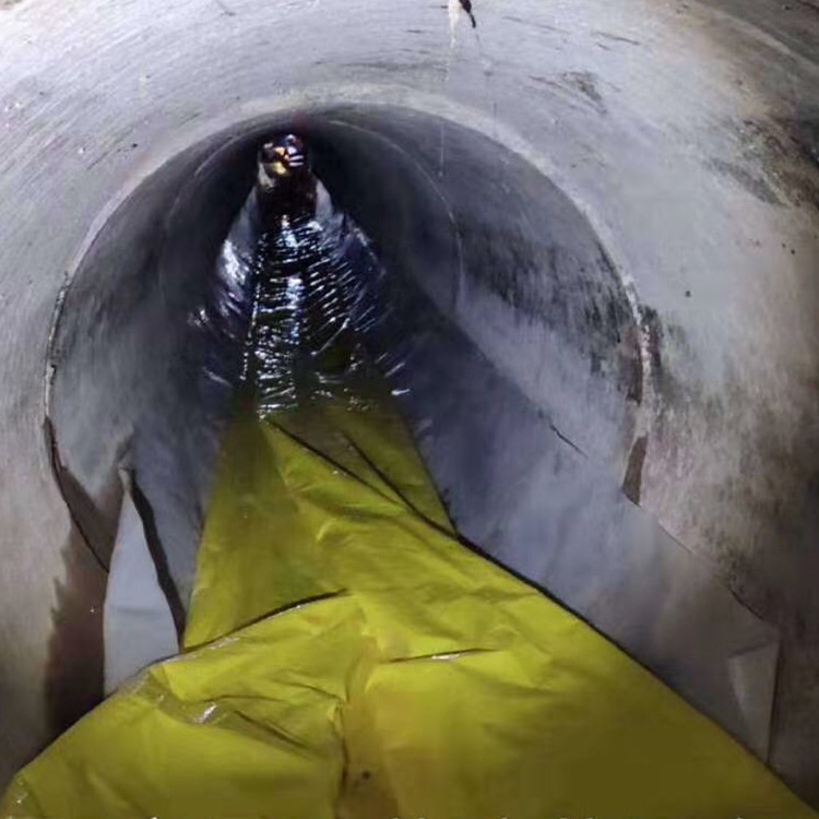 牡丹管道光固化修复